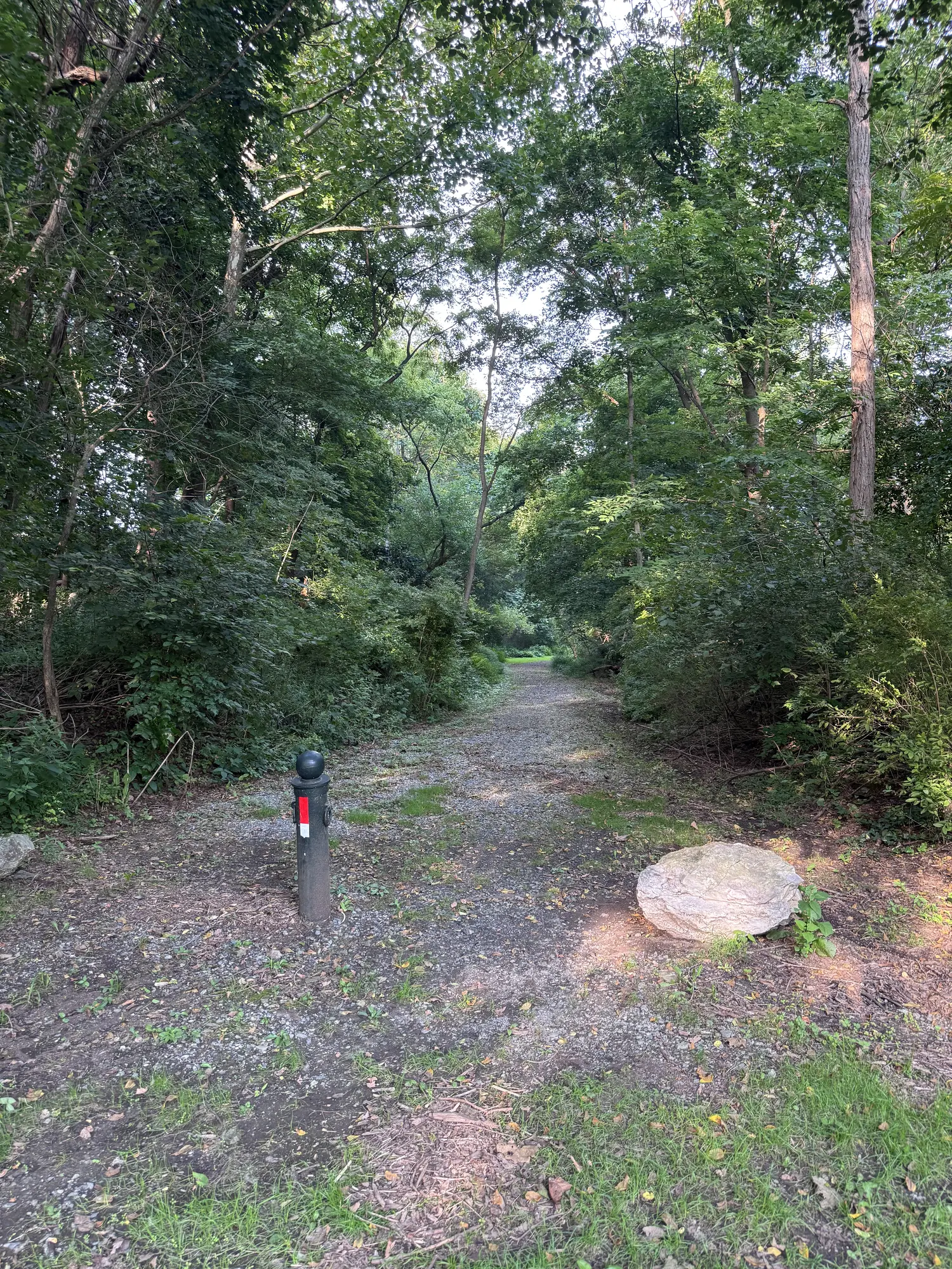 Wooded walking trail at Quittie Creek Nature Park in Annville